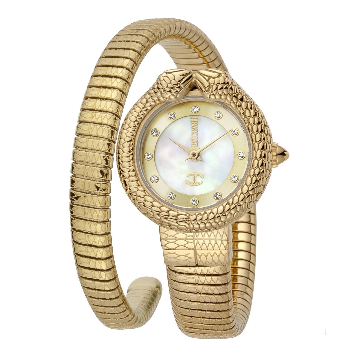 Ladies Dolce Glam Watch (JC1L161M0025)