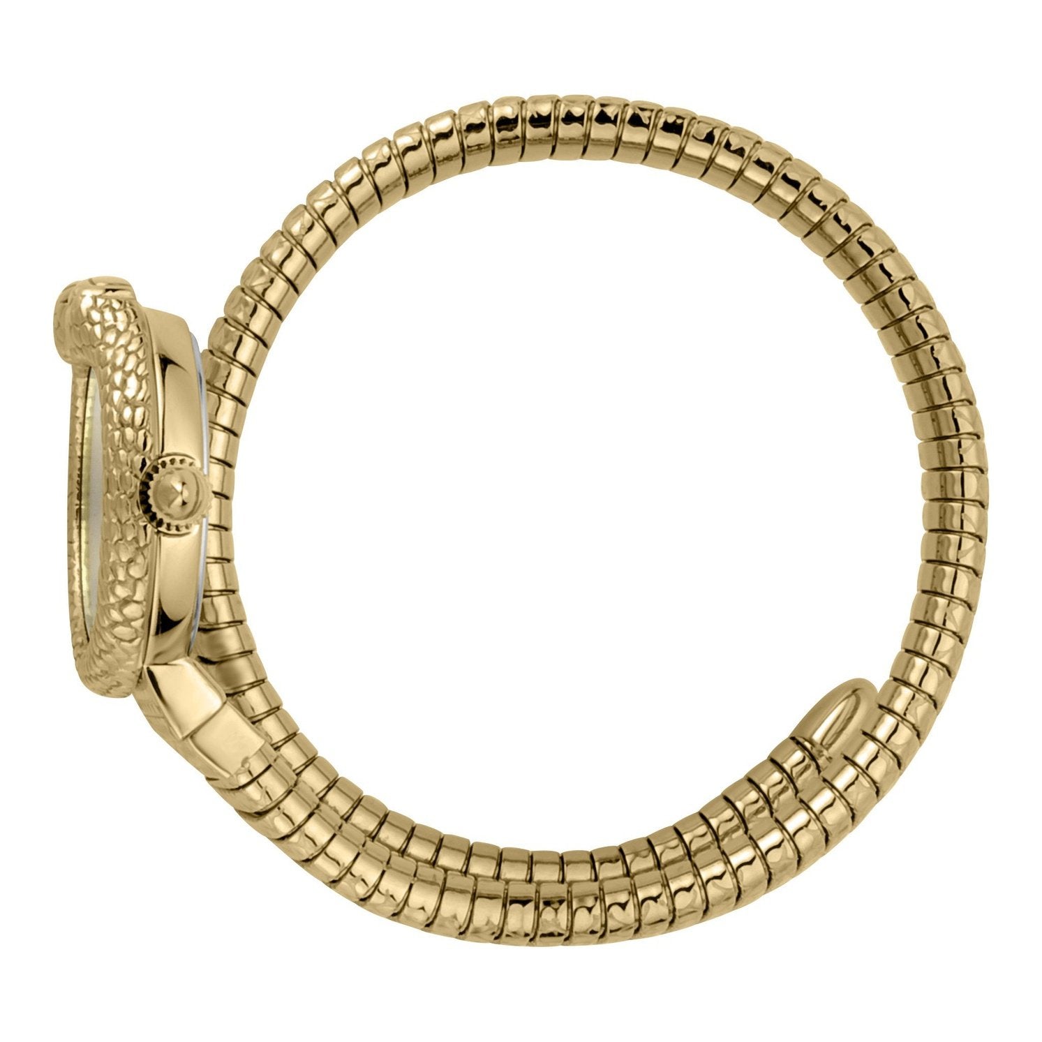 Ladies Dolce Glam Watch (JC1L161M0035)