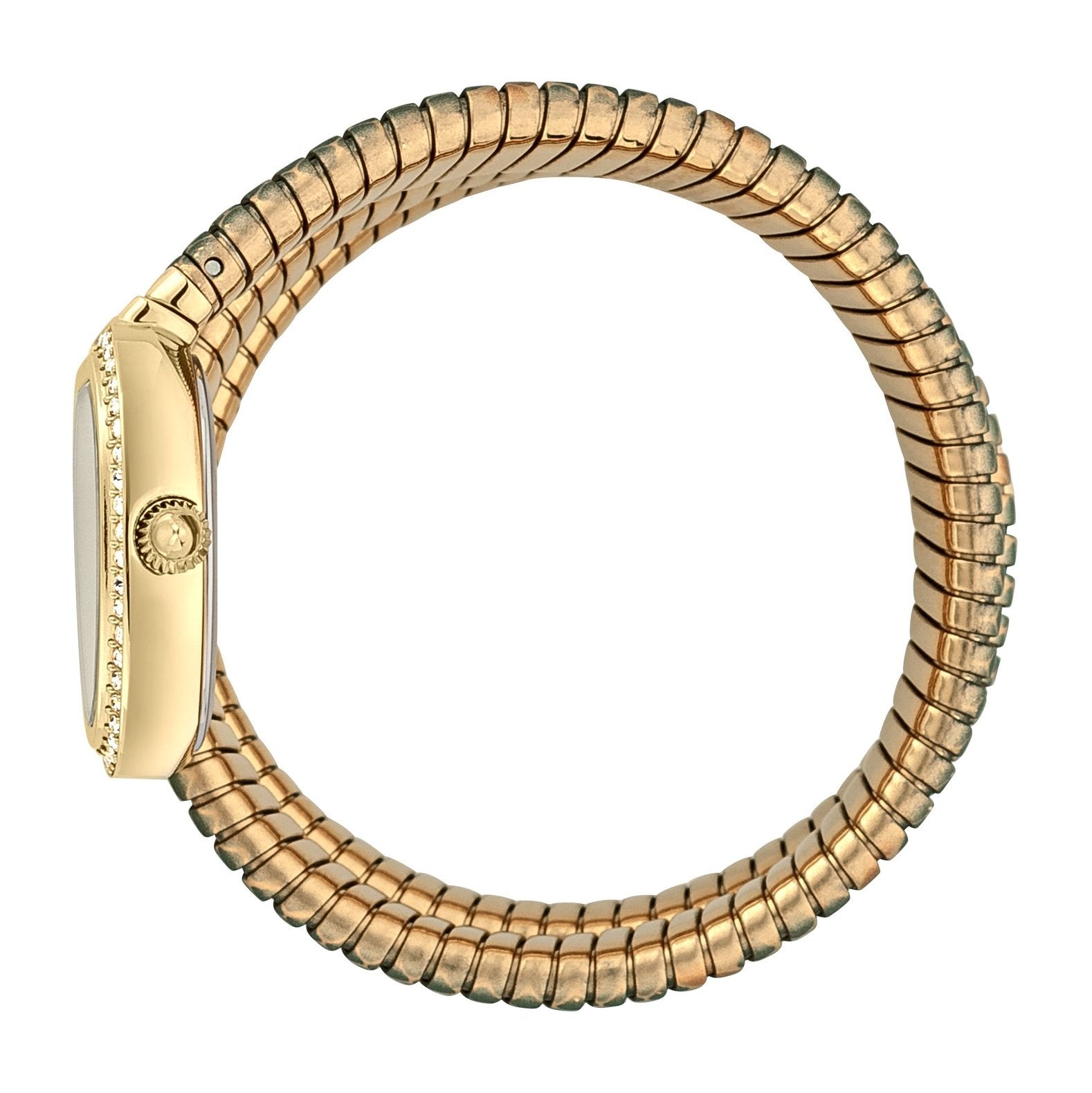 Ladies Serpente reale Watch (JC1L163M0235)