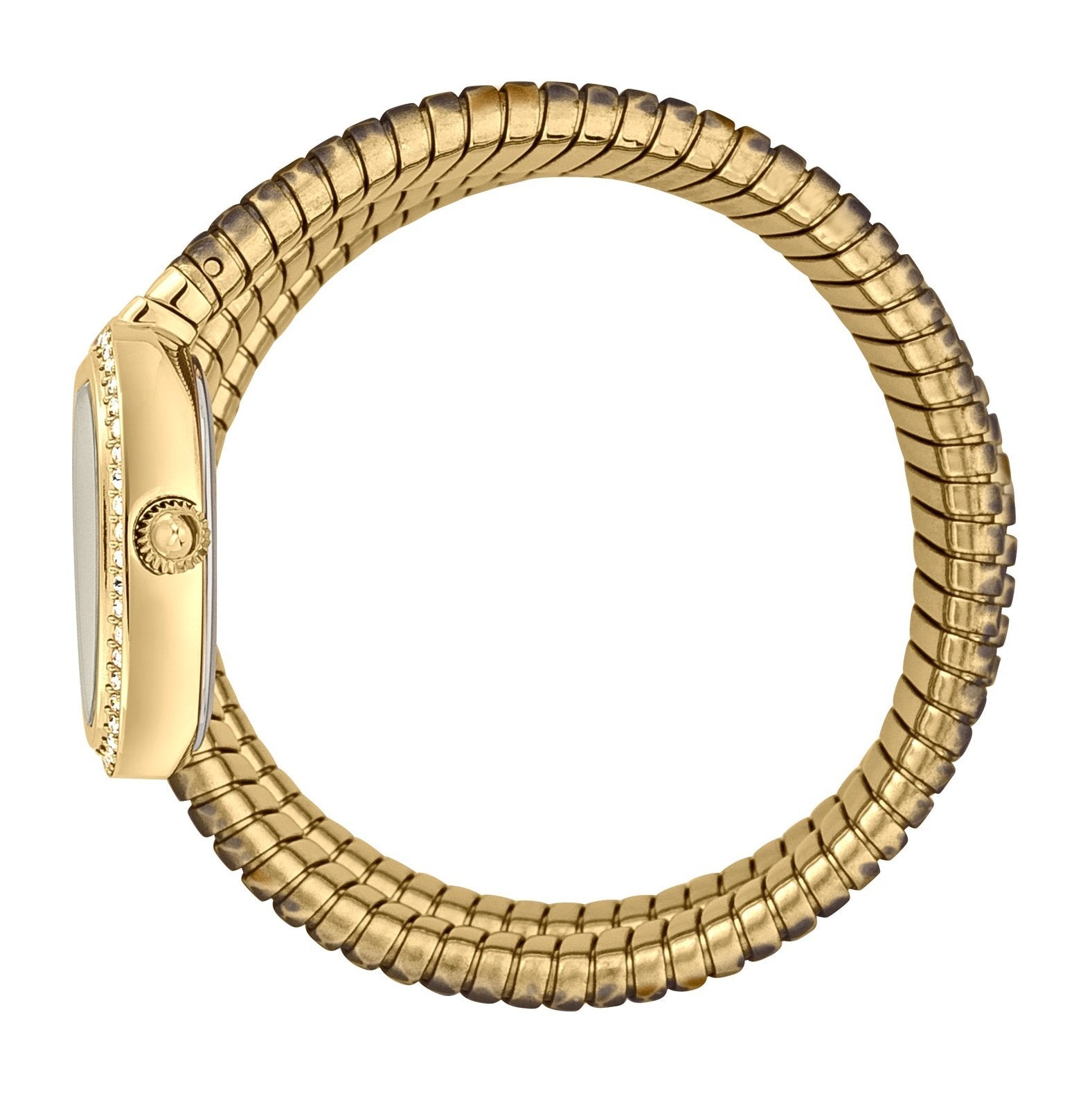 Ladies Serpente reale Watch (JC1L163M0255)