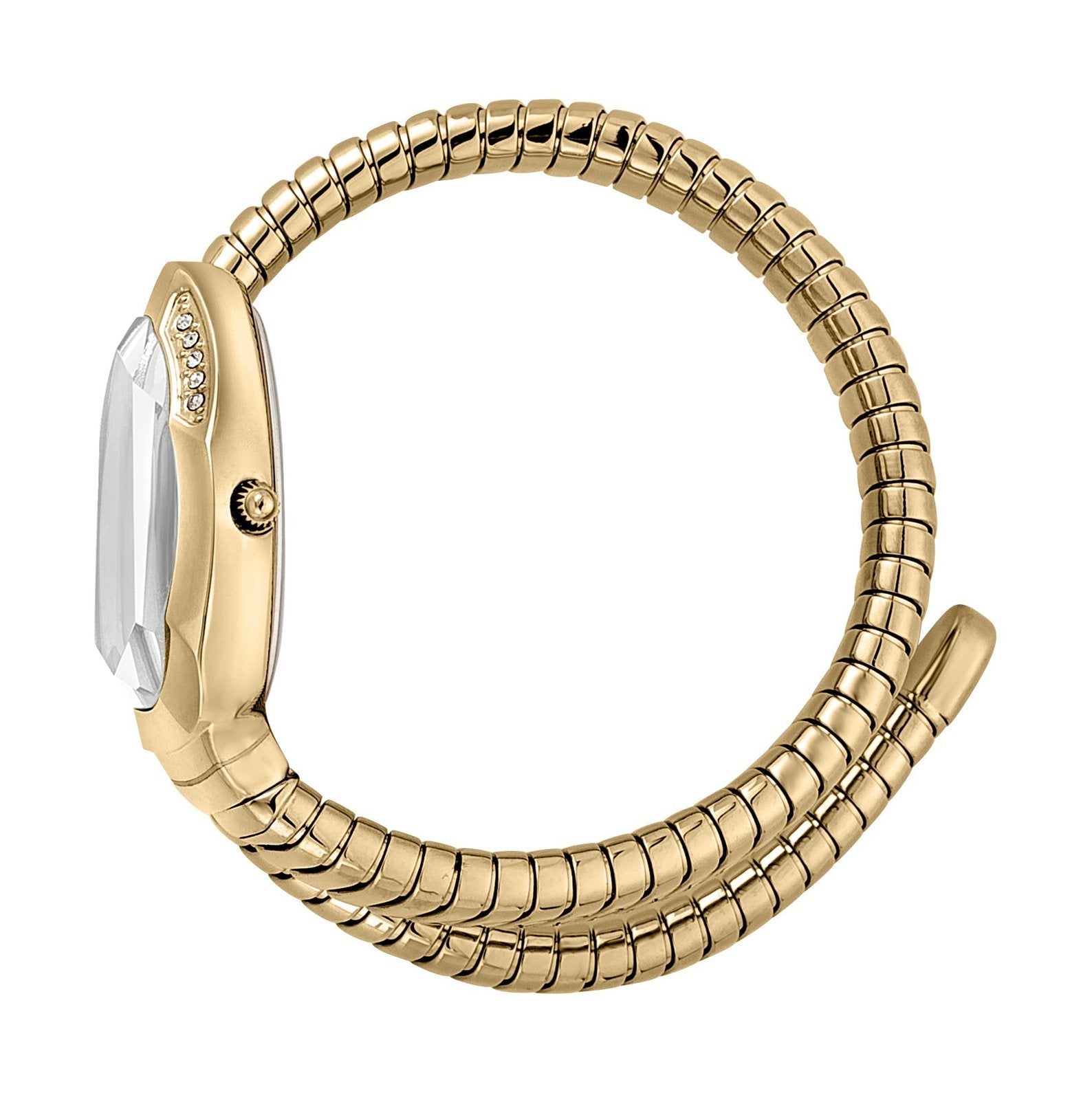 Ladies Serpente metallica Watch (JC1L208M0035)