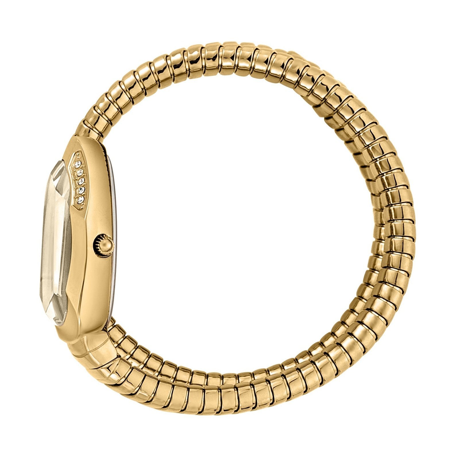 Ladies Serpente Watch (JC1L209M0035)