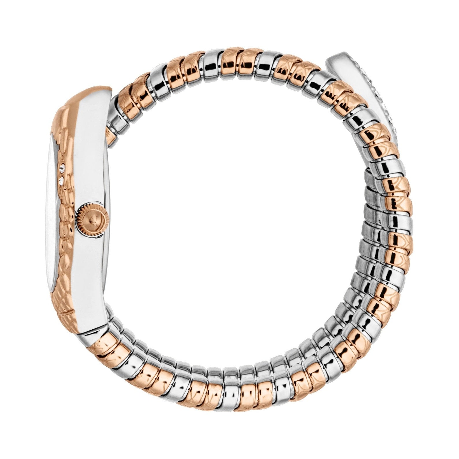 Ladies Vetra Watch (JC1L373M0065)